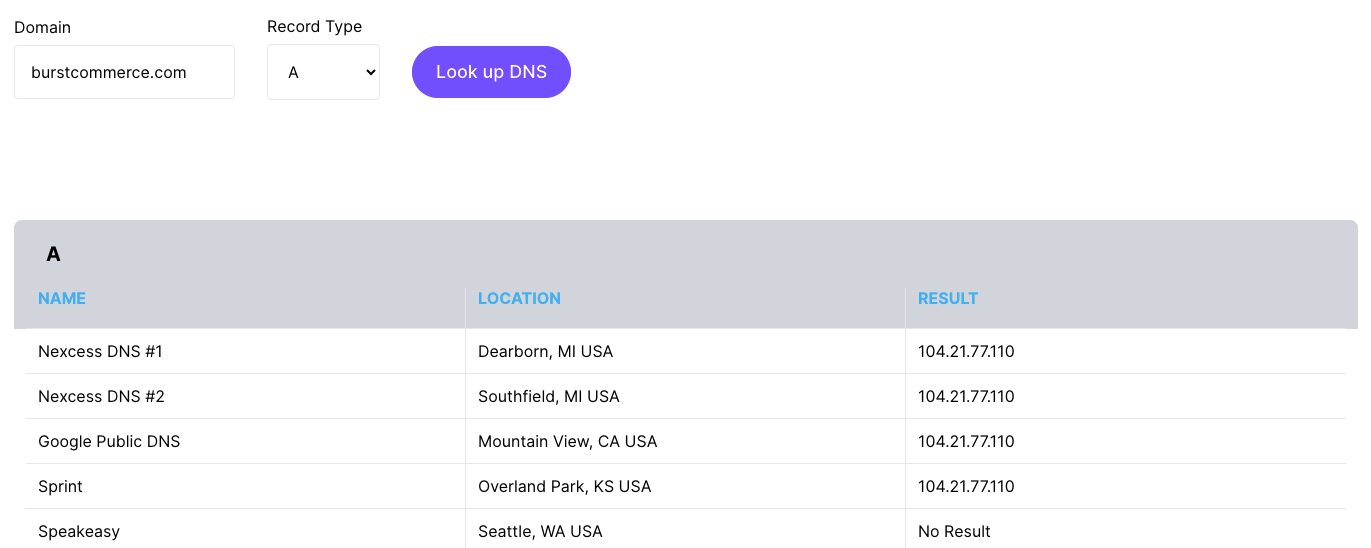 Domain propagation checker for Shopify