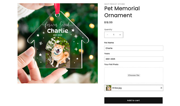 Shopify file upload example