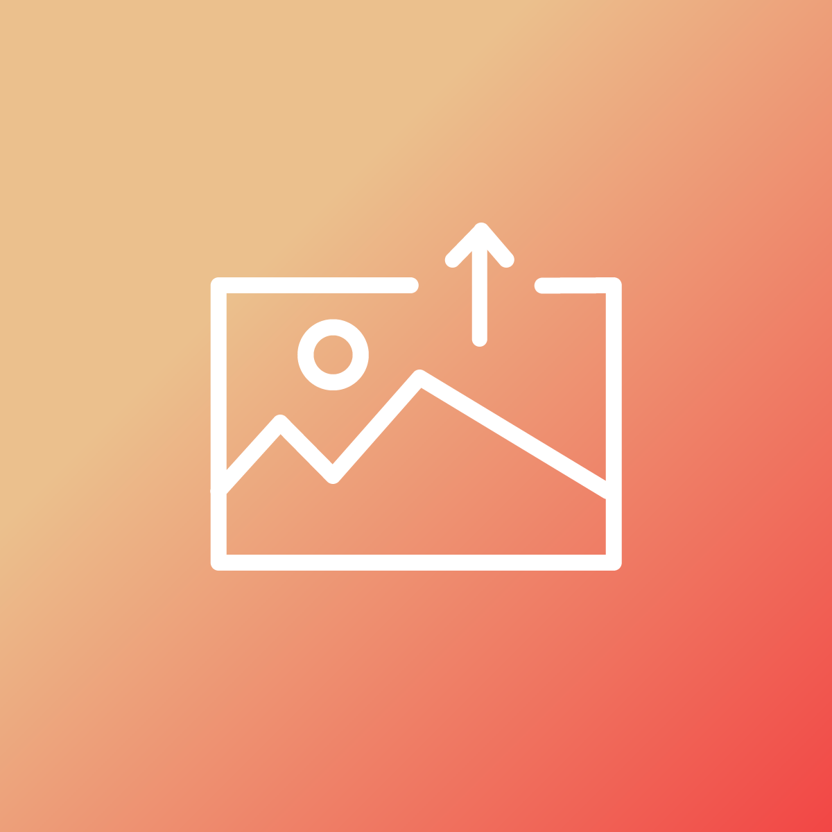 Mega Media Exporter icon