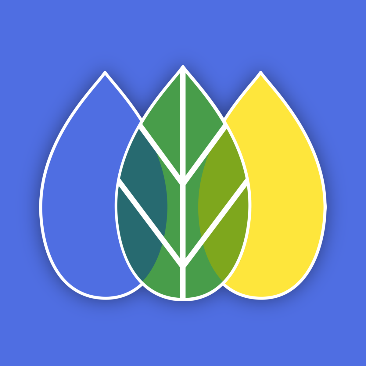 SEO Manager icon