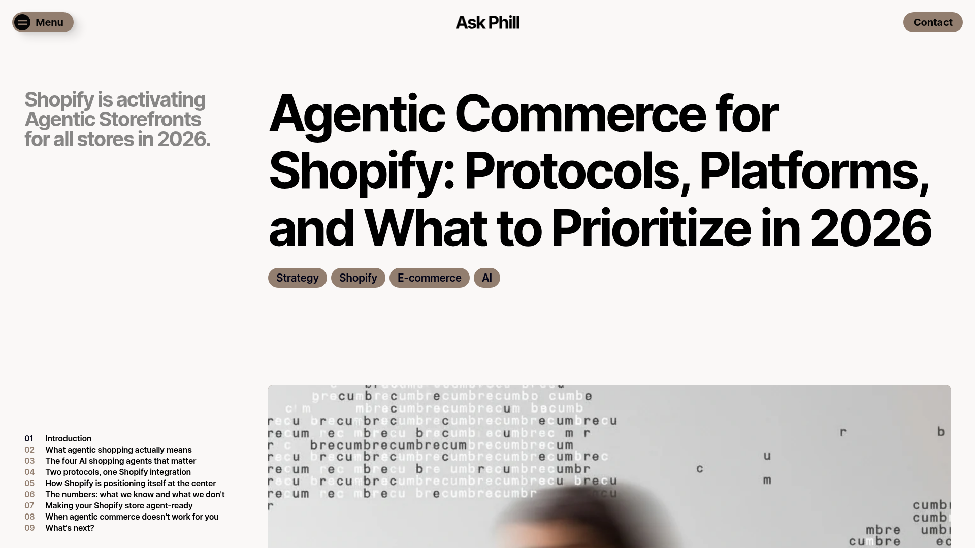 Captura de tela de orientações sobre comércio agêntico para lojas Shopify