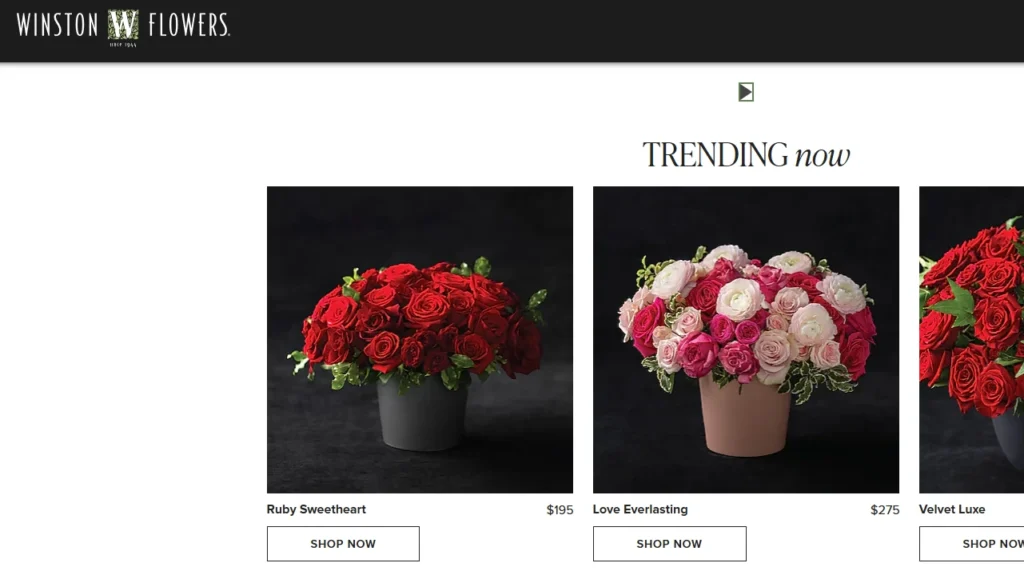 Voorbeeld van Shopify-storefrontdesign en merchandising voor een bloemist