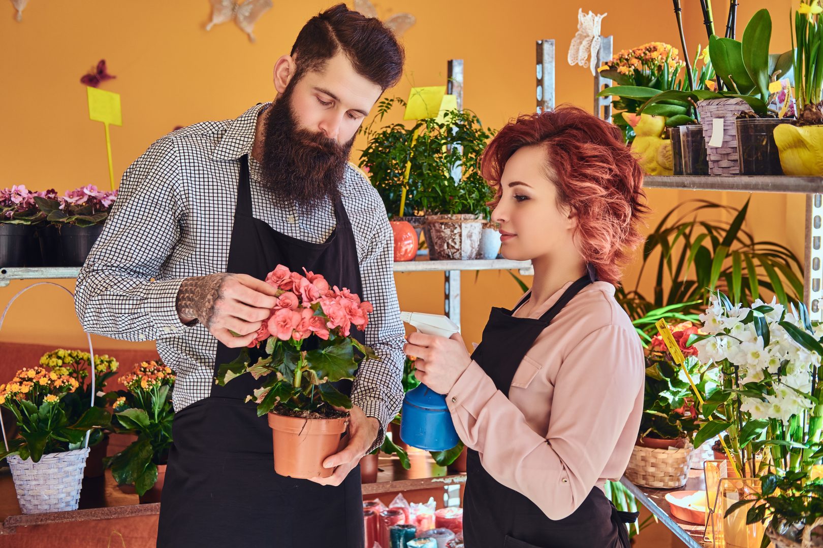 Growth strategies for a profitable flower shop