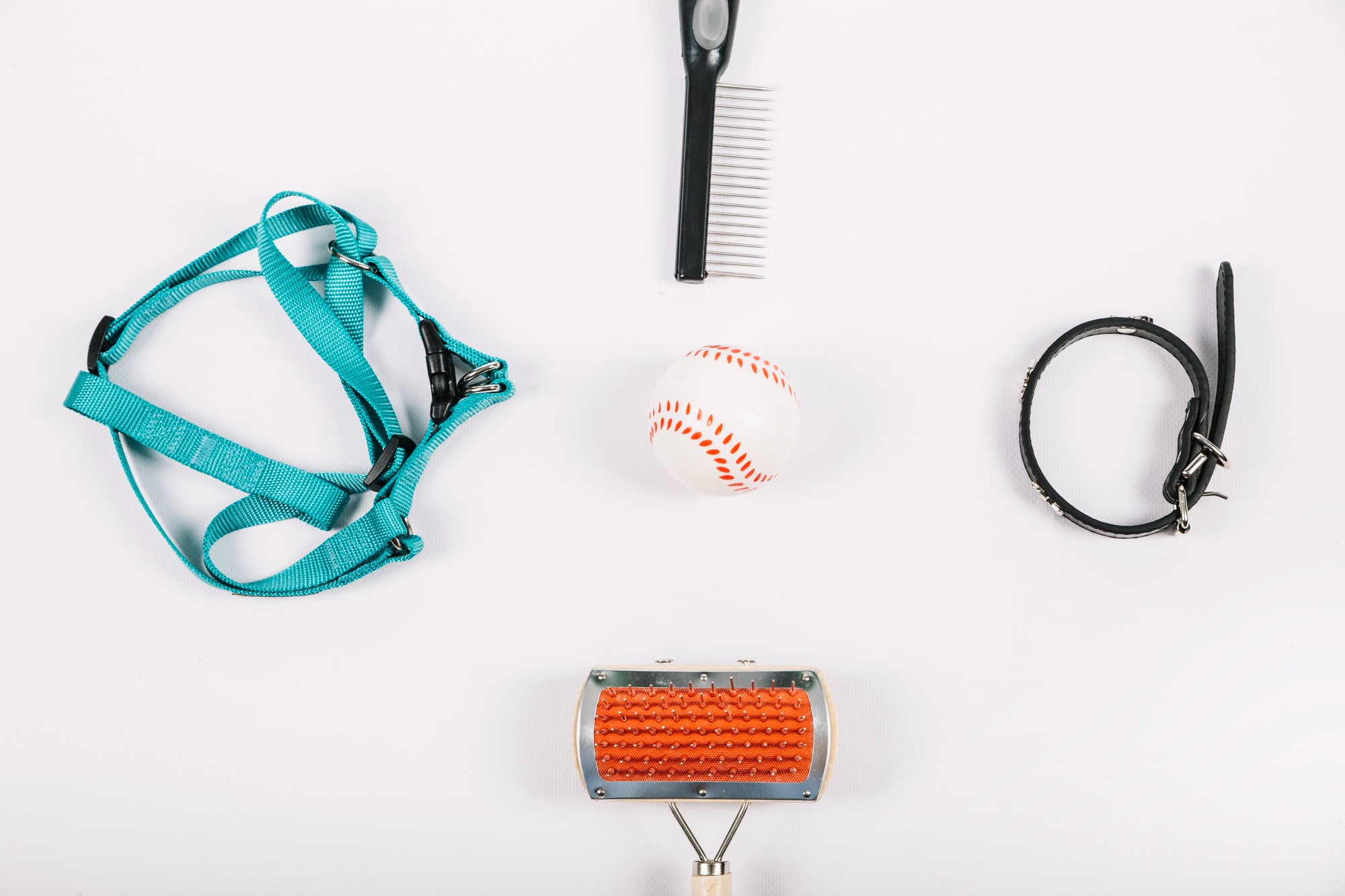 Lancer une petite entreprise en ligne d’accessoires pour animaux